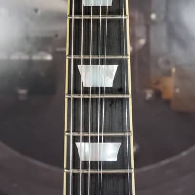 Agile AL-3100MCC - Flame Top Les Paul w/ Hard Case image 4