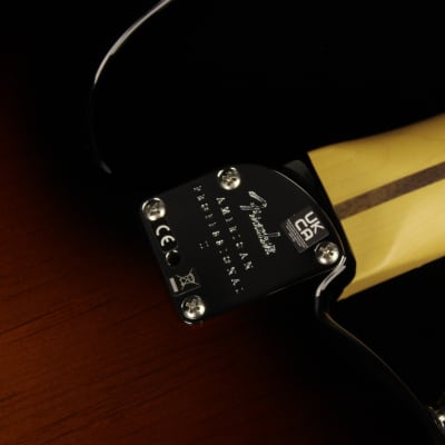 Fender American Professional II Telecaster - RW 3CS (#826) image 9