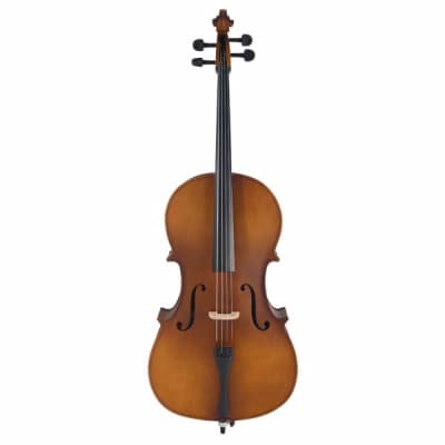 Vintage 4/4 Cello Case | Reverb