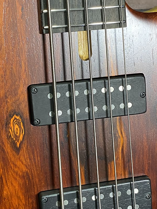 Dragonfly custom guitar work by Harry's Engineering Custom 5
