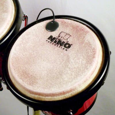 Peak+Hold incl. pickup - live percussion processor - banana version Klassik image 11