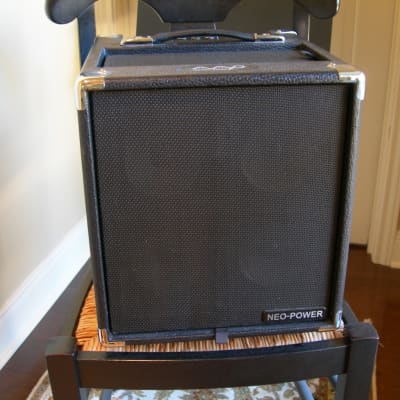 Phil Jones AG-300 Super Cub Acoustic Guitar Amp | Reverb