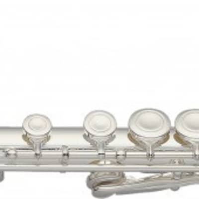 C flute, 2 head joints w/curved, closed holes, offset G, split E image 1