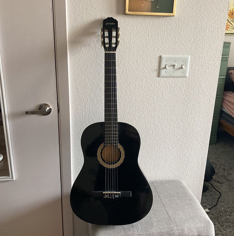 Sequoia shop acoustic guitar