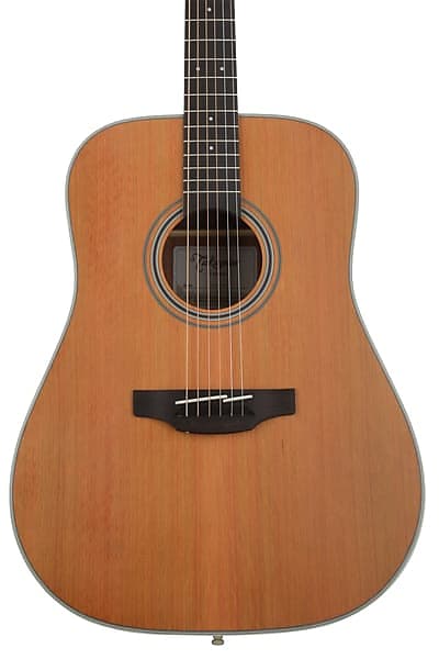 Takamine GD20 NS G20 Series Dreadnought Acoustic Guitar