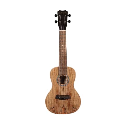 Islander Traditional concert ukulele w/ spalted maple top for sale