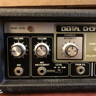 Roland Digital Chorus DC-50 Vintage Delay / Chorus Effects Unit 1976 image 2