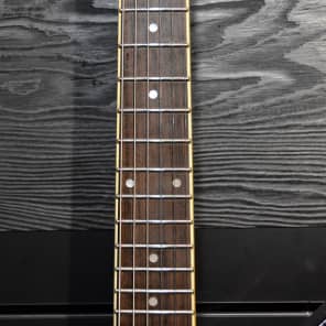 Immagine Washburn Dime 333 DimeBolt Rare Color - 5