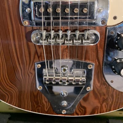 Premier/Multivox E-781 Scroll 1965 - Brazilian Rosewood & Plastic & Walnut image 4