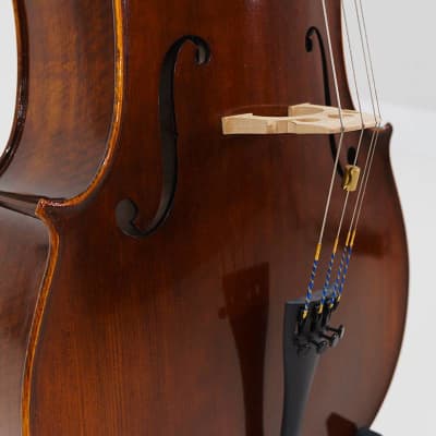 Eastman VC305 Andreas Eastman Step Up Professional Series Cello - 3/4 image 7