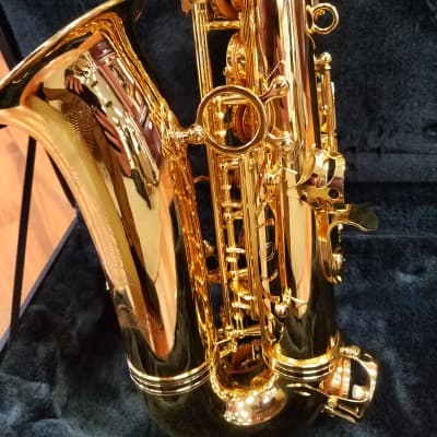 Cannonball AR9900 Royal Crown Professional Alto Sax Gold Lacquer image 6