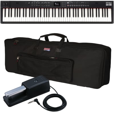Roland RD-88 EX Stage Piano CARRY BAG KIT
