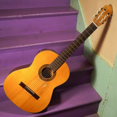 1970s Bruno (Japan) Model 1585 Classical Guitar (VIDEO! Fresh Work, Ready) for sale