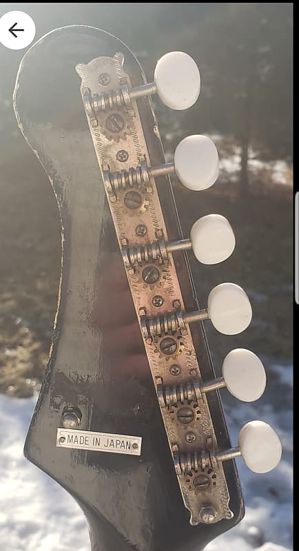 Djentar 8 String Buckeye Burl Purple Burst - 10s Guitars