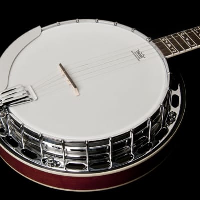 Washburn B16K Americana Series Maple Neck Wood 5-String Banjo w/Remo Head & Hardshell Case image 4