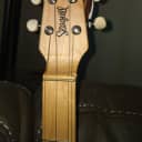 Seagull Merlin Spruce EQ Dulcimer Guitar
