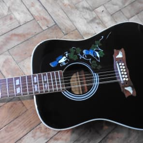 Lorenzo hummingbird guitar top