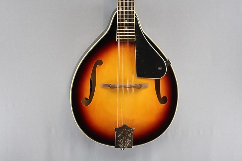 Appalachian APM 1 Mandolin Pickin Pack Reverb