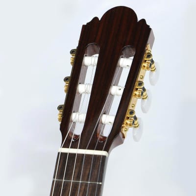 Yukinobu Chai No.10 Alto Guitar- Shipping Included* image 7