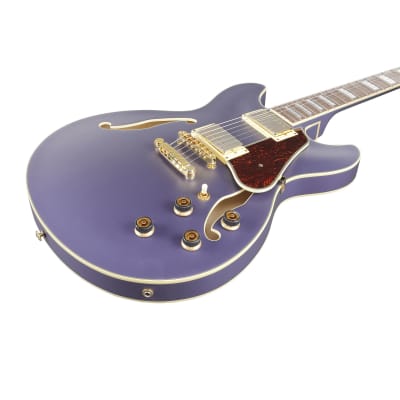 Ibanez AS73G-MPF image 5
