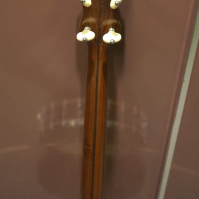 Washburn Tenor Banjo Early 1900's ? image 7