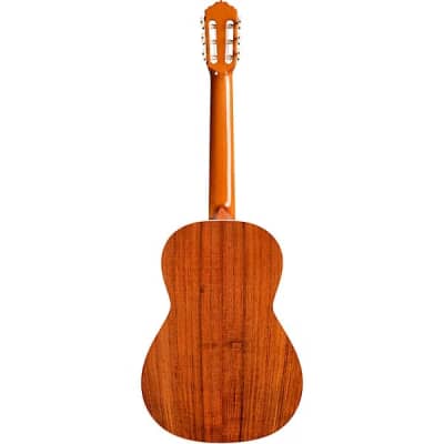 Cordoba Esteso SP Spruce Top Luthier Select Acoustic Classical Guitar image 14