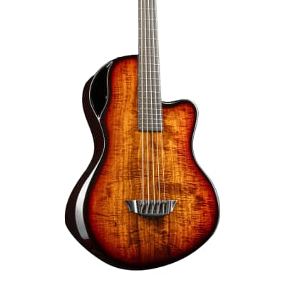Balor Bass 5-String | Carbon Fiber Acoustic Bass Guitar for sale