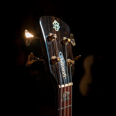Spector USA Custom NS2 Bass Guitar - Grand Canyon - CHUCKSCLUSIVE - Display Model, Mint image 13
