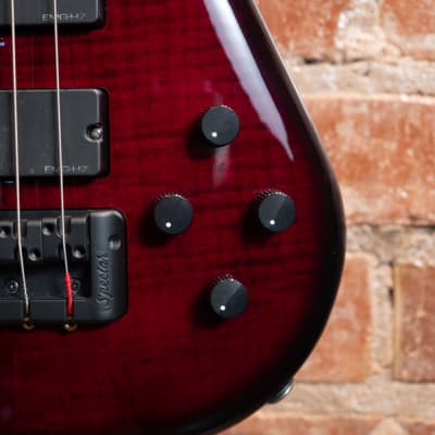 Spector Rebop 4 DLX FM Bass Guitar Black Cherry | | TG35220 