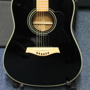 Tanglewood seagull cheap acoustic guitar