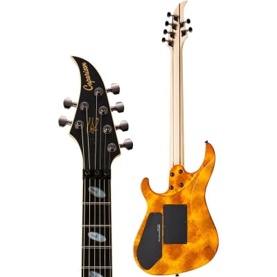 Caparison Guitars Horus-M3 EF Electric Guitar Tiger's Eye image 4