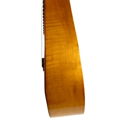 Concert Mandolin Flat-Back Emanuele Egildo N°840 from 1927 image 7