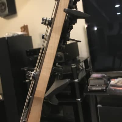JCR Custom Fretless Tenor 5 String Bass image 12