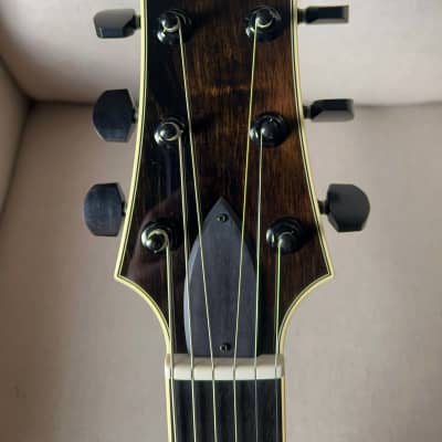 Sadowsky LS15 LS-15 Archtop Hollowbody Electric Guitar Custom Color Trans Black image 10