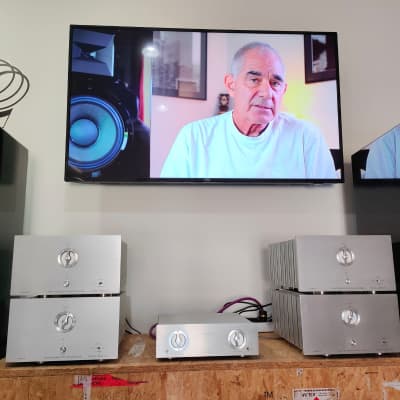DANIEL HERTZ BY MARK LEVINSON M1 REFERENCE + 4 TELIKOS M5 + M6 2016 image 8