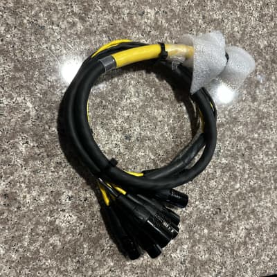 Digidesign DB25-XLR M DigiSnake 12FT 2本 Digidesign D-Sub db25 to