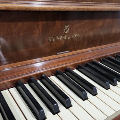Steinway Model F Walnut Console Upright Piano Manufactured 1959 in Queens, NY image 5