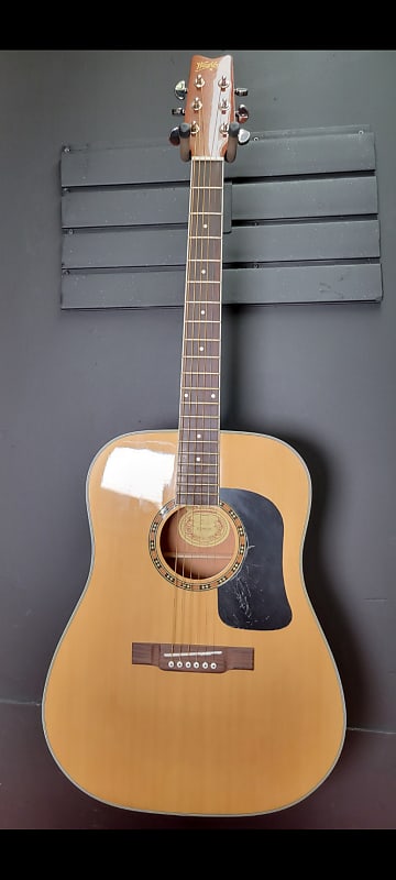 Washburn D9c Acoustic Guitar image 1