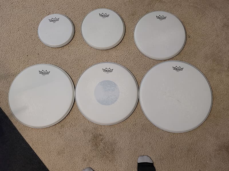 Remo Coated Ambassadors, Emperor, Control Sound 2023 Coated Reverb