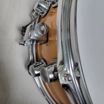 Mapex Black Panther 14x5.5 Maple Premium Édition Limitée image 6