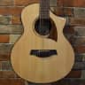Ibanez AEW2212CD 12-string Acoustic-Electric Guitar