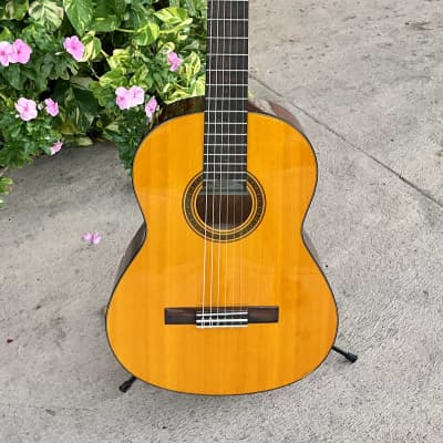 Yamaha CG101A Classical Guitar for sale