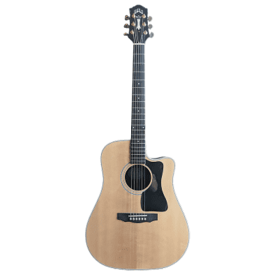 Epiphone USA texan montana 世界500本限定 ギブソン - 弦楽器、ギター