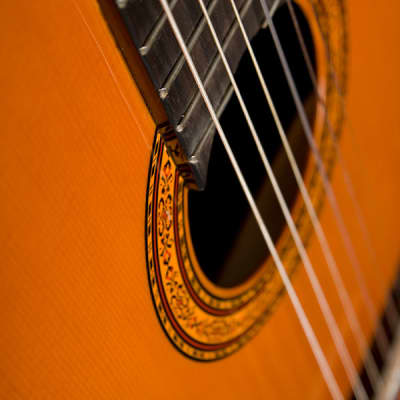 Washburn Classical Series C5 Classical Acoustic Guitar, Natural, New, image 4