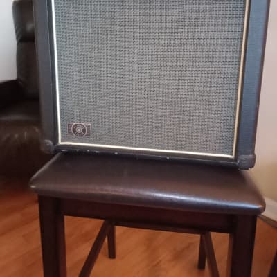 Kustom Sienna 30 KAA30 Acoustic Guitar Combo Amp Amplifier (1x10