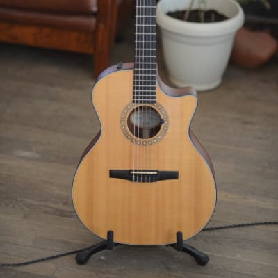 Limited edition: Taylor NS34cel 2003 - 2009 - Nylon String Hybrid for sale