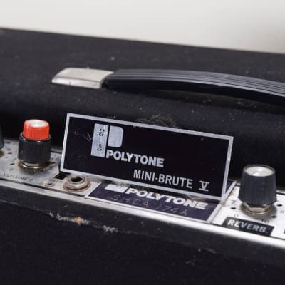 Polytone Mini-Brute V 2 x 10" Guitar Combo Amplifier CG00RUU image 14