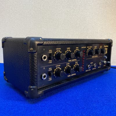 1981 Guyatone Analog echo AE-5 - awesome sounding delay