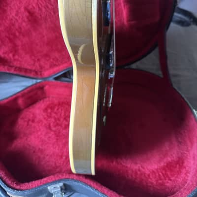 Gibson ES-335TD 1968 - Sparkling Burgundy image 13