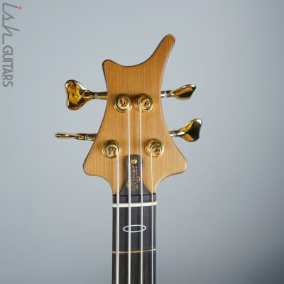 Ritter R8 Singlecut Acoustic Hollowbody Bass Piezo - First Ever! Redwood Body image 6